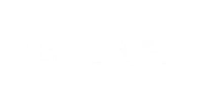 partners who work with ivibet